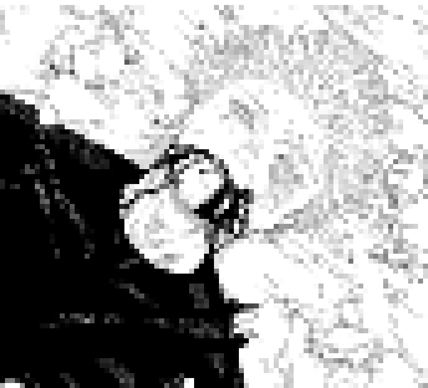 [006d2b] you. you guys know what I referenced right