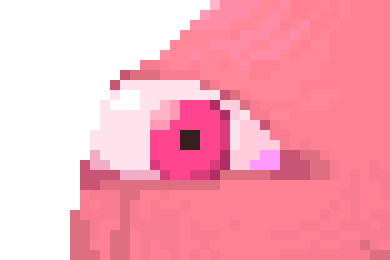 [8048ed] when you