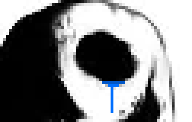 [71fafd] I haven't been able to talk to anybody today