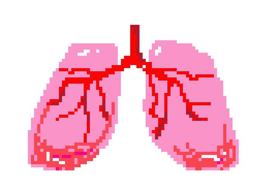 [401978] Pixel Lungs