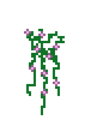 [9664c4] Pink.Vine