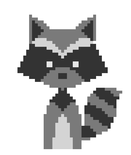Raccoon
