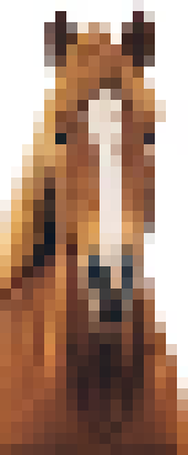 [816c09] Horse is funny.