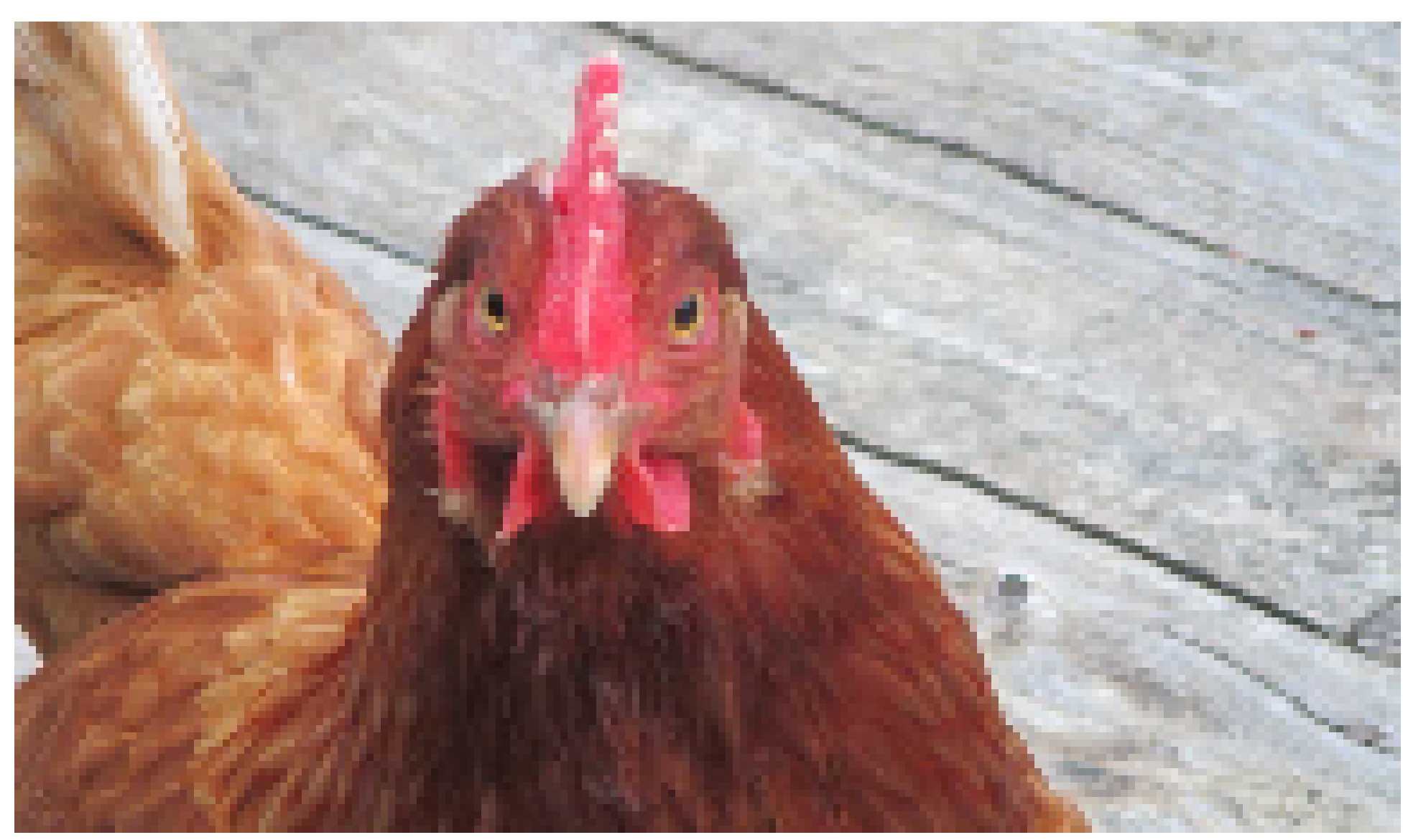 [2eba03] CHICKEN