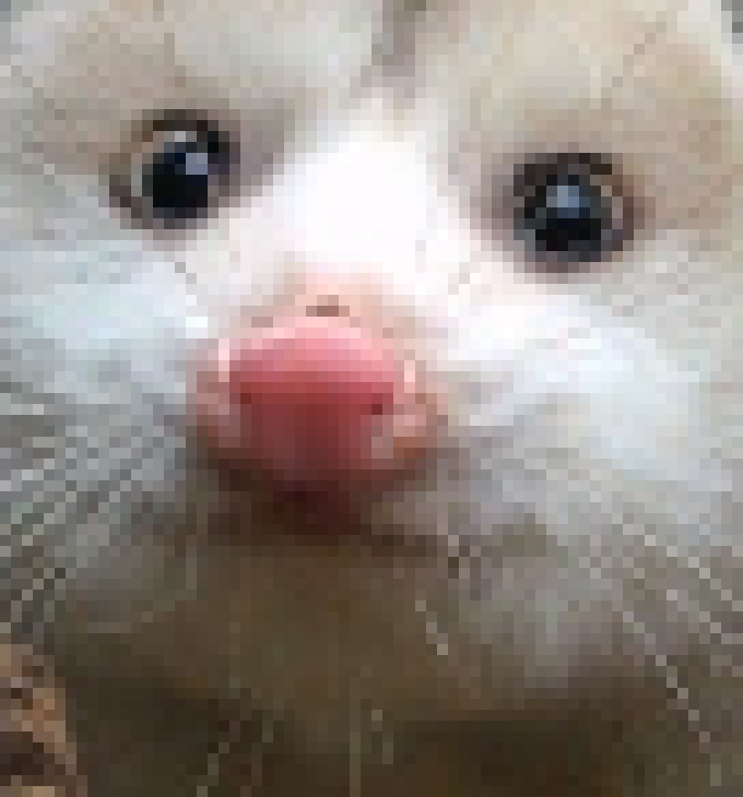 [d9ed45] whar