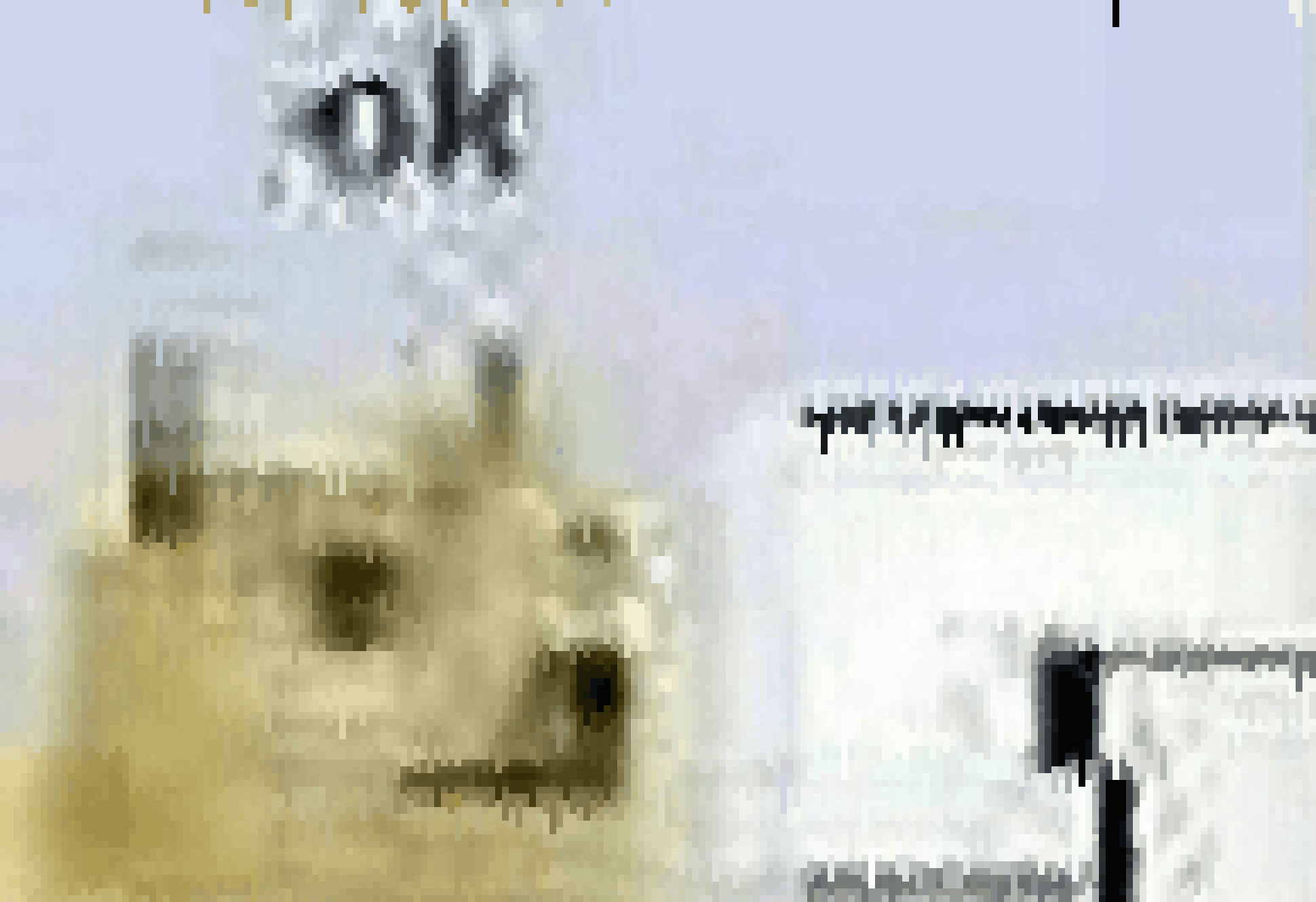 [990543] ok