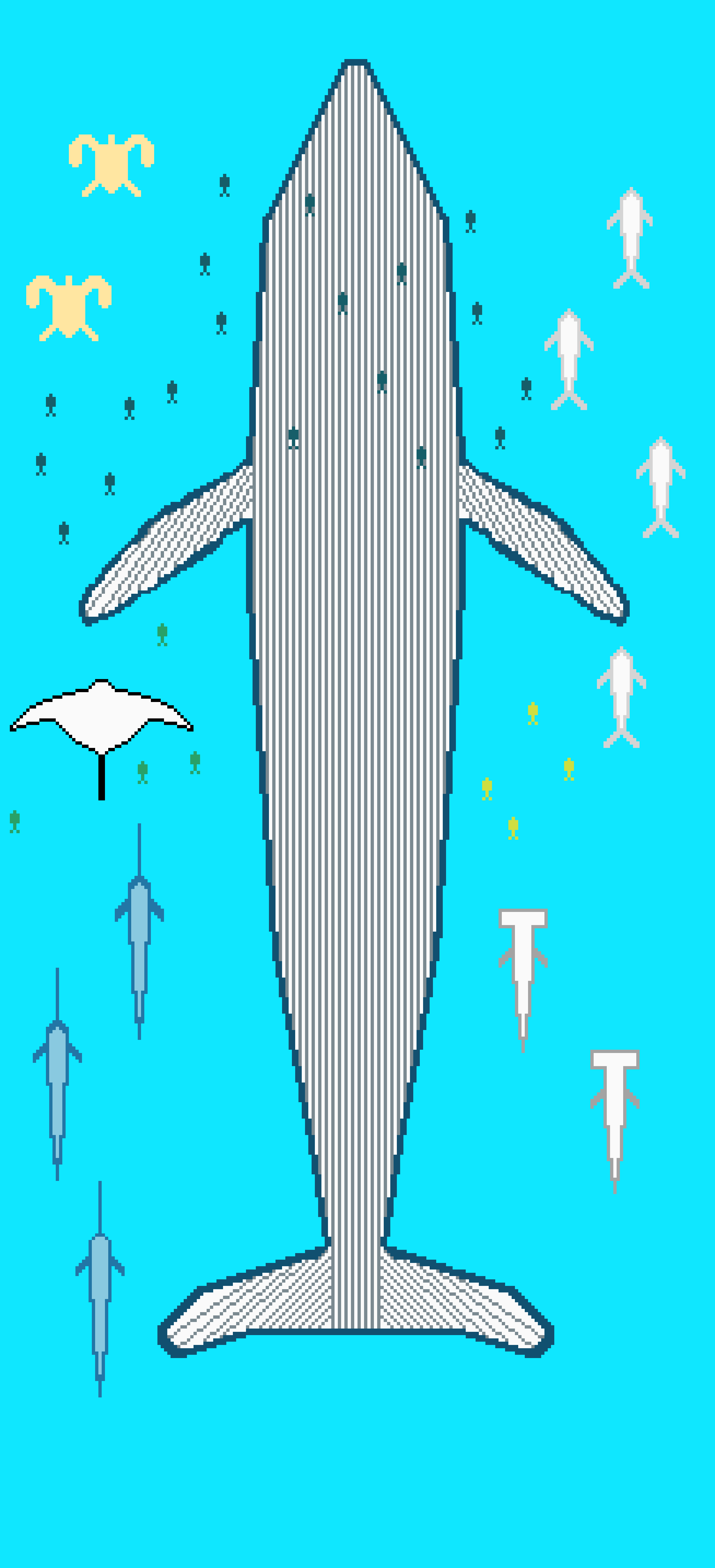 whale skateboard
