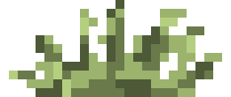 [2ec9dc] grassy grass