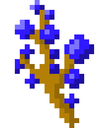 [ca78a5] blue berry