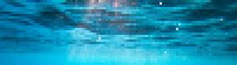 [bdbc1c] Untitled