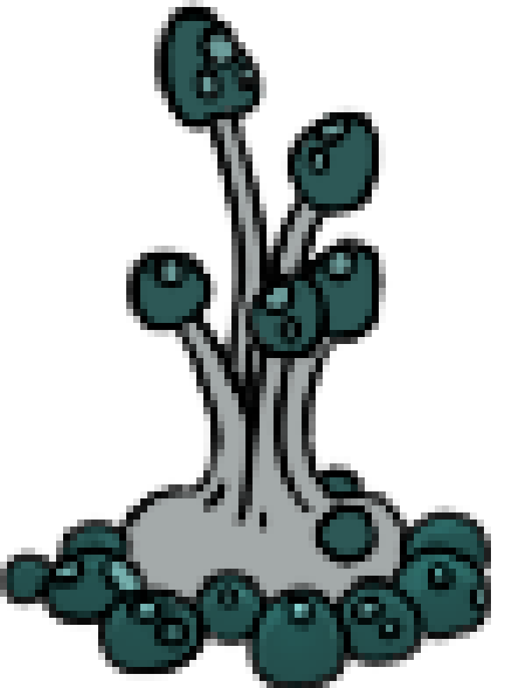 [990543] Sporg (Hollow Knight) (Free to use)