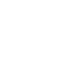 white circle