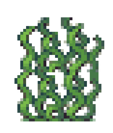 [068640] long seaweed