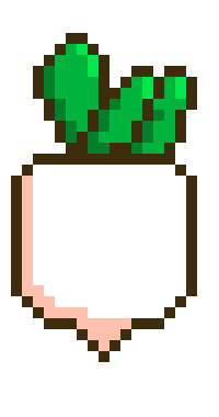 turnip