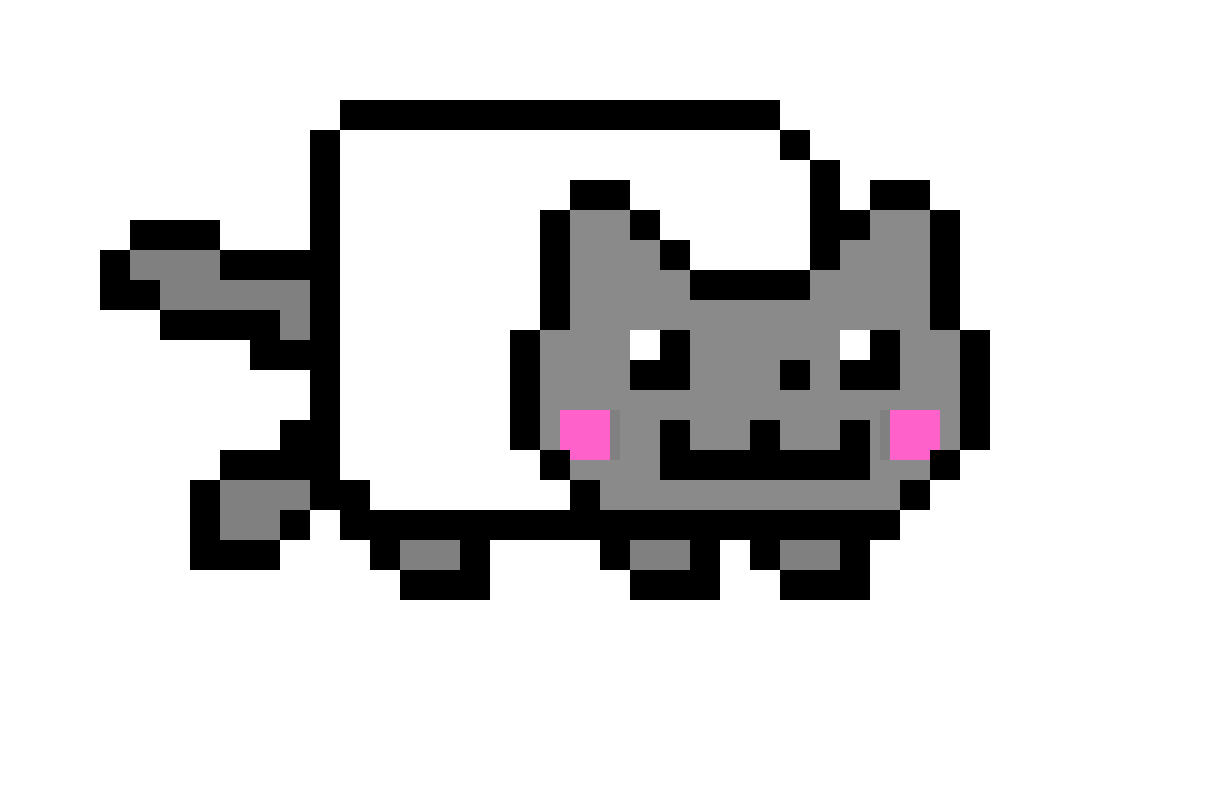 nayn cat