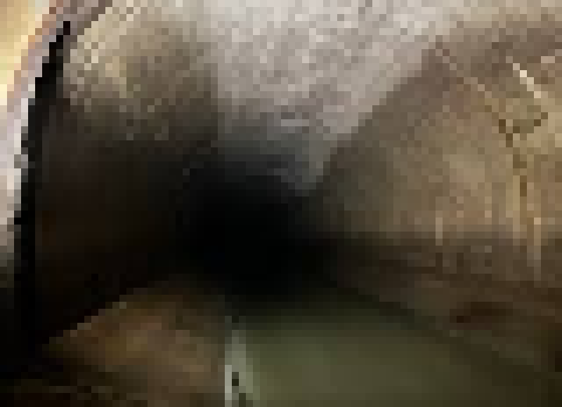 [bce8e5] MISUTI TURN: misuti sees openings to the north and west.