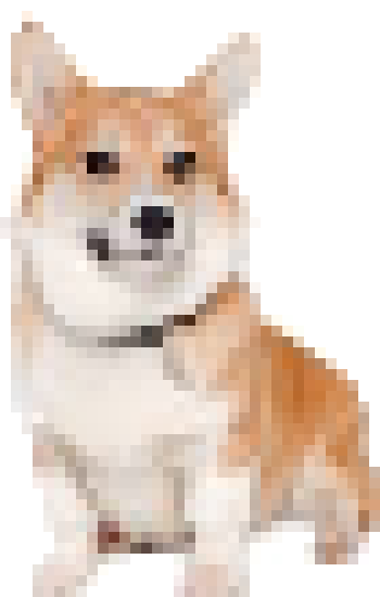 [6946cc] corgy