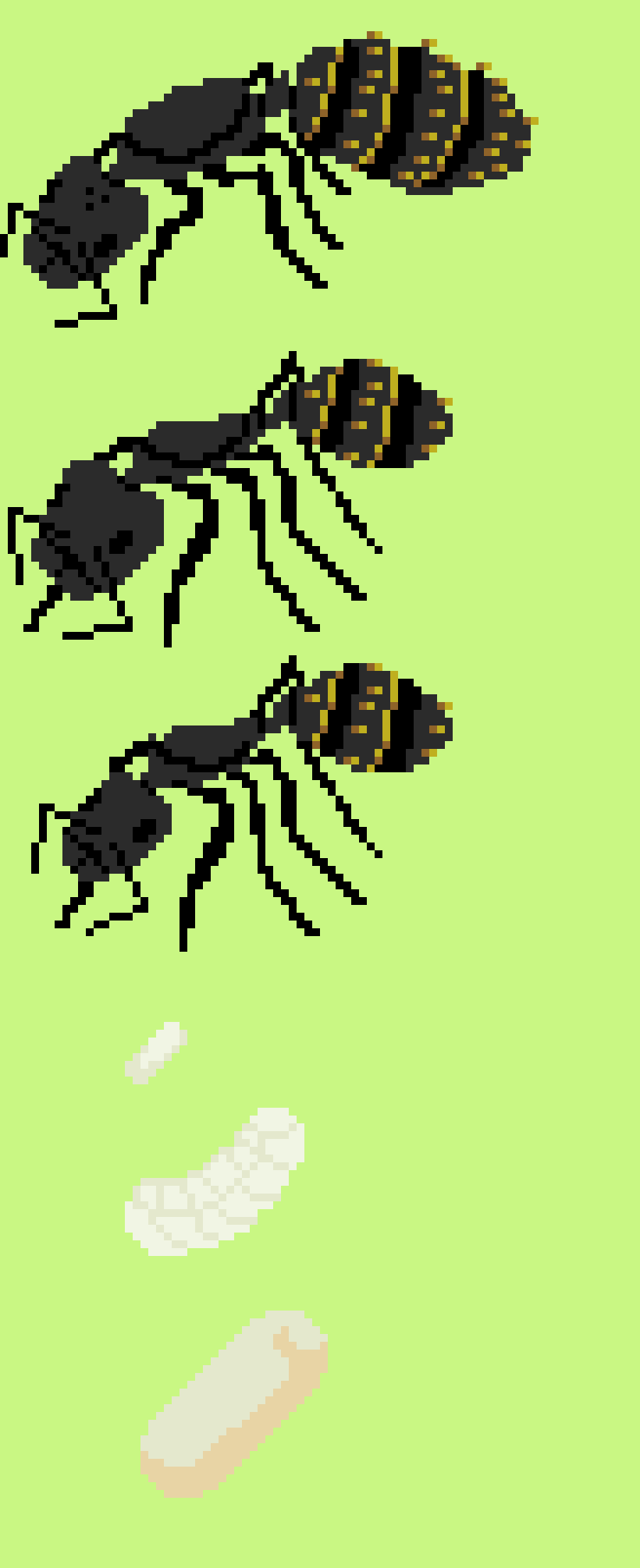 [10c0ed] queen