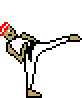 [77c21e] blackbelt kick right
