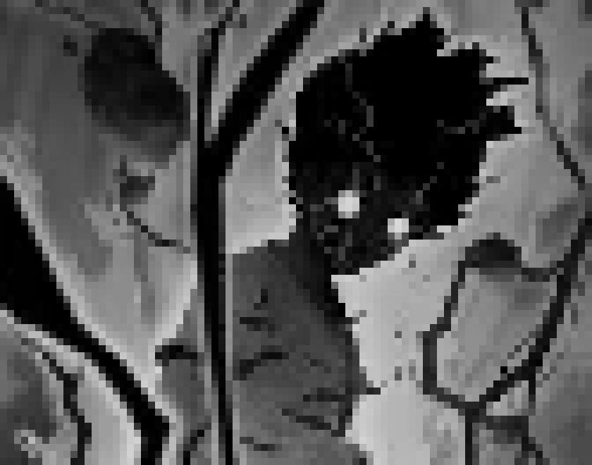 [44c6b0] (why the fuck am i being told i need to get out of my room cro its my fucking room -Xenoxx)