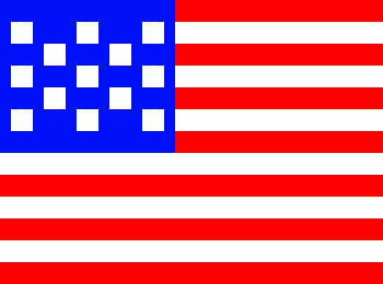 [785bd0] USA FLAG