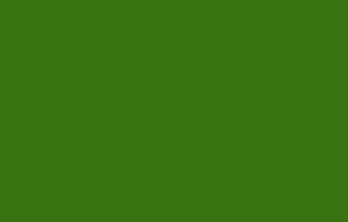 [c1e5ab] Background Green