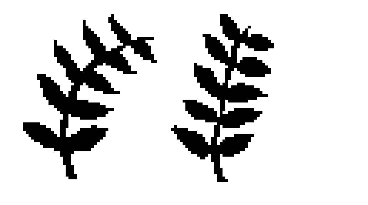 [417eb4] fern