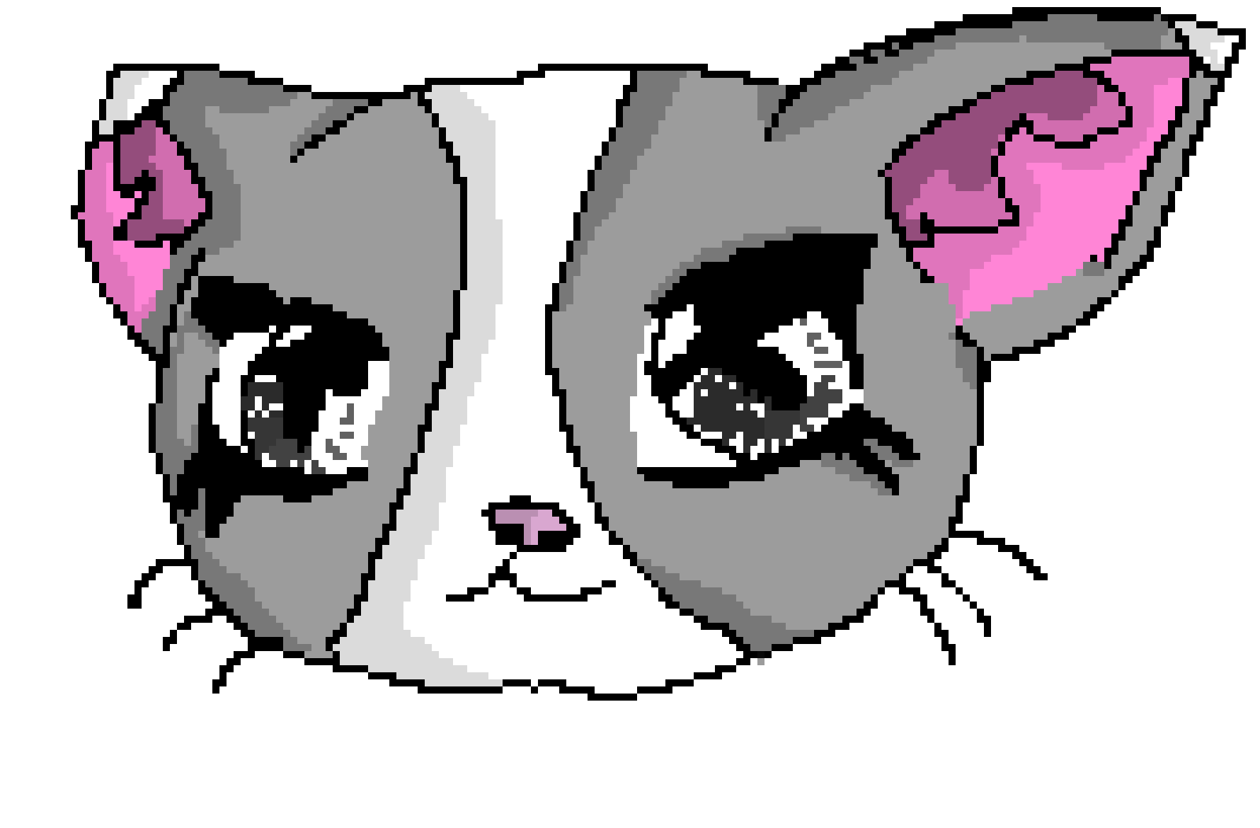 [9664c4] Kitty cat
