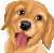 [dfdafc] Dog_16