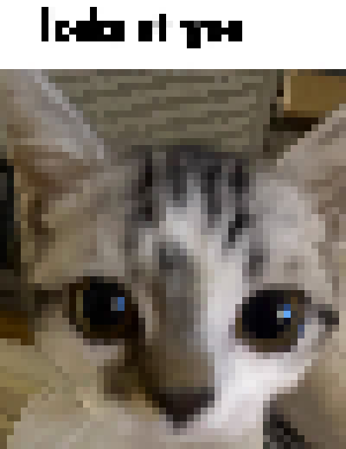 [65a21e] looks at you
