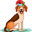 [dfdafc] Noel_62