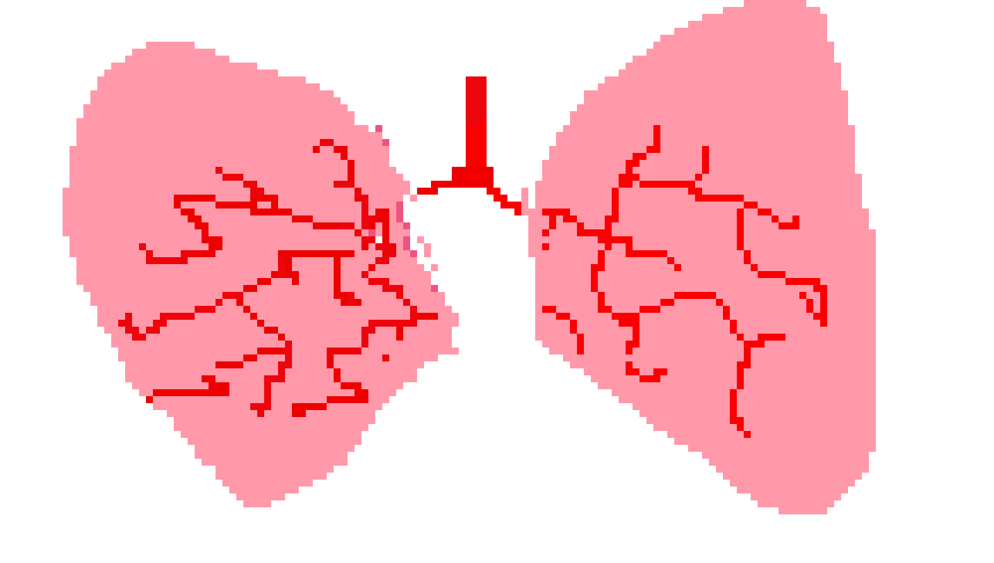 [401978] pixel lungs