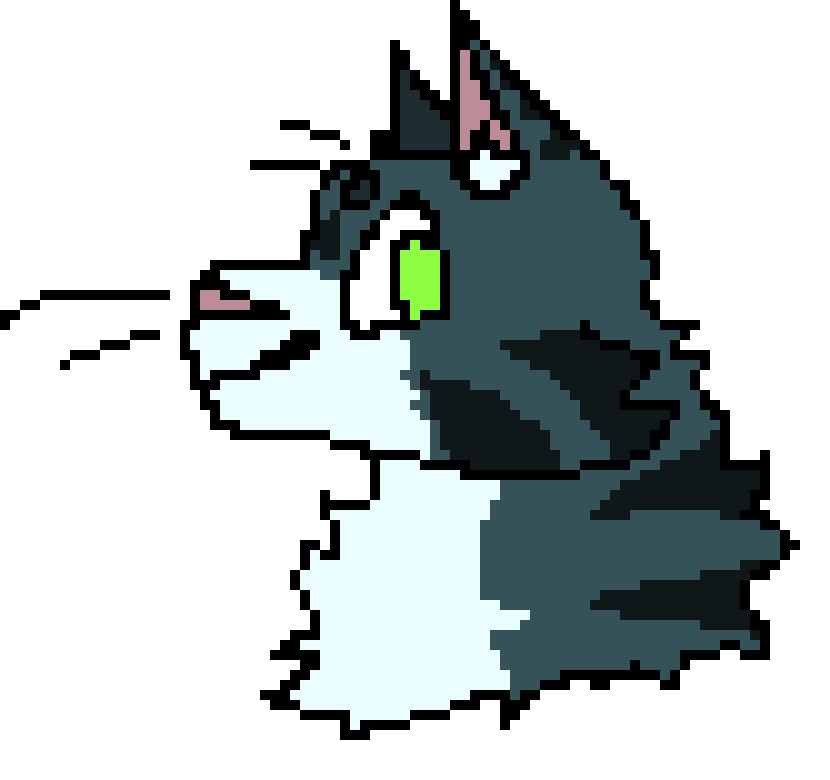 [050f15] Cat