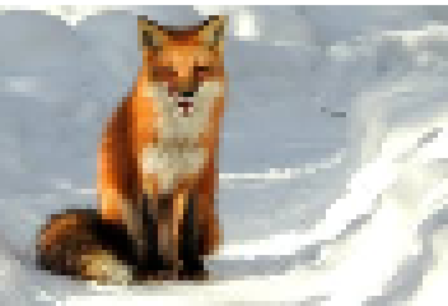 [046469] foxsnow2