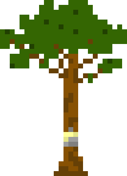 [db1555] RubberTree2.1