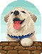 [e7d875] Lovepet_7