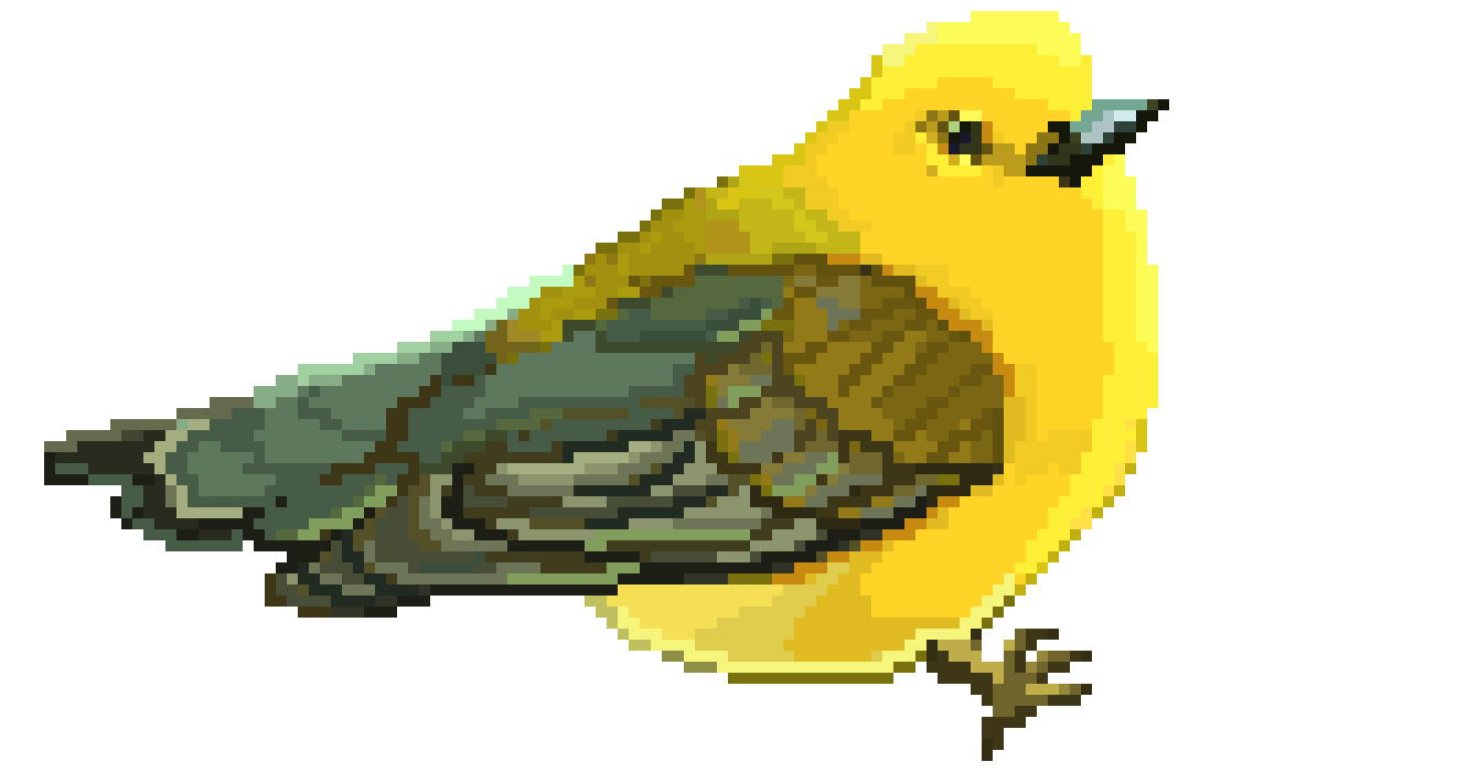 [b1f3df] p warb