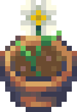 [bbafc9] GreenHousePotDaisy1