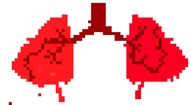 [2b4978] LUNGS: MEHAL!