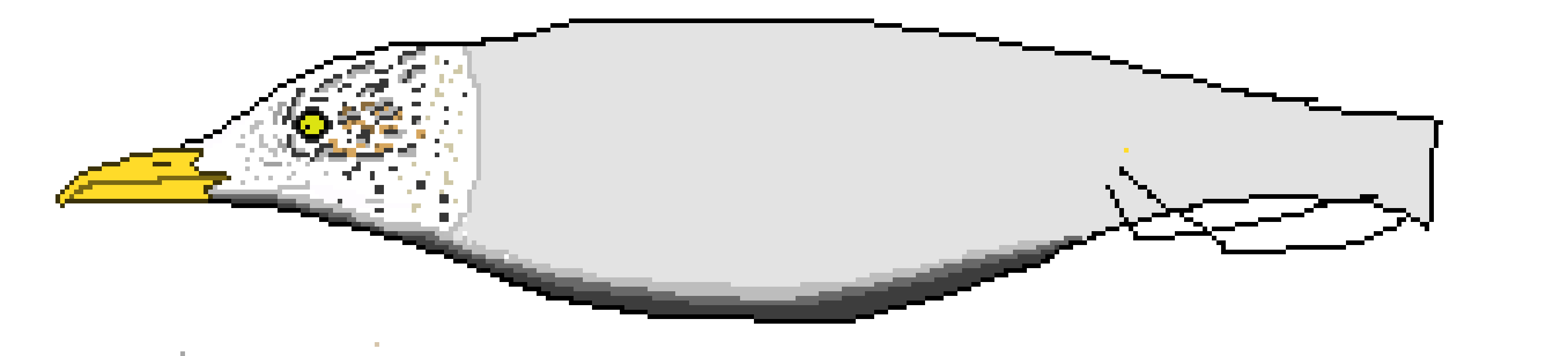 [6dda89] seagull