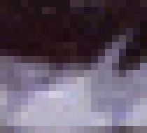 [e27272] *Taps on the window * Let me out...somebody..