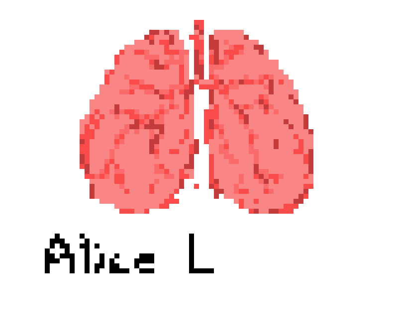 [2b4978] Lungs.