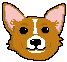 [9664c4] corgi