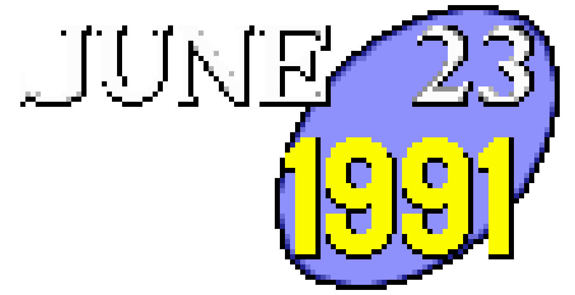 [135478] june231991