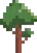[137189] tree2