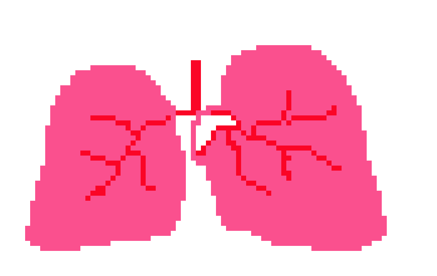 [401978] pixel lungs