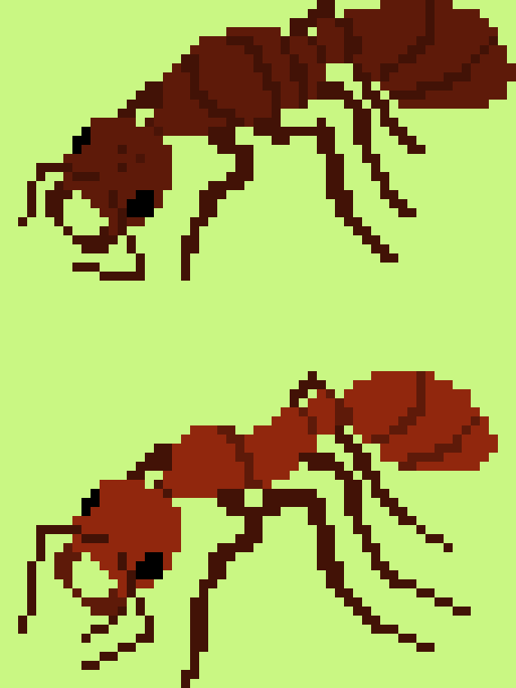 [10c0ed] polyergus