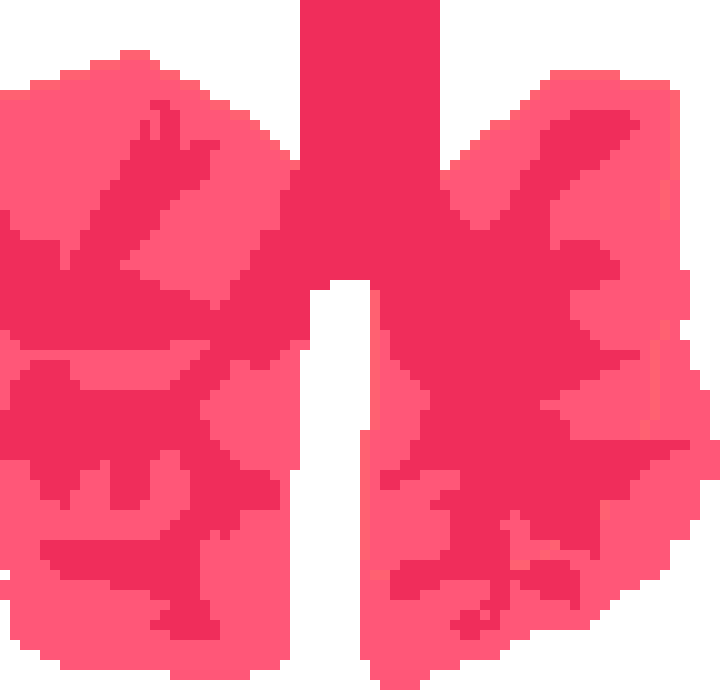 [0cc342] lungs