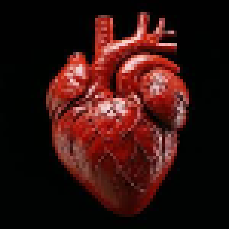 [ed5af7] hearttt