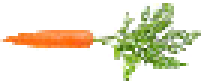 [6c8297] carrot
